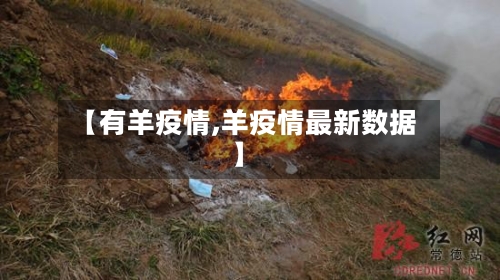 【有羊疫情,羊疫情最新数据】